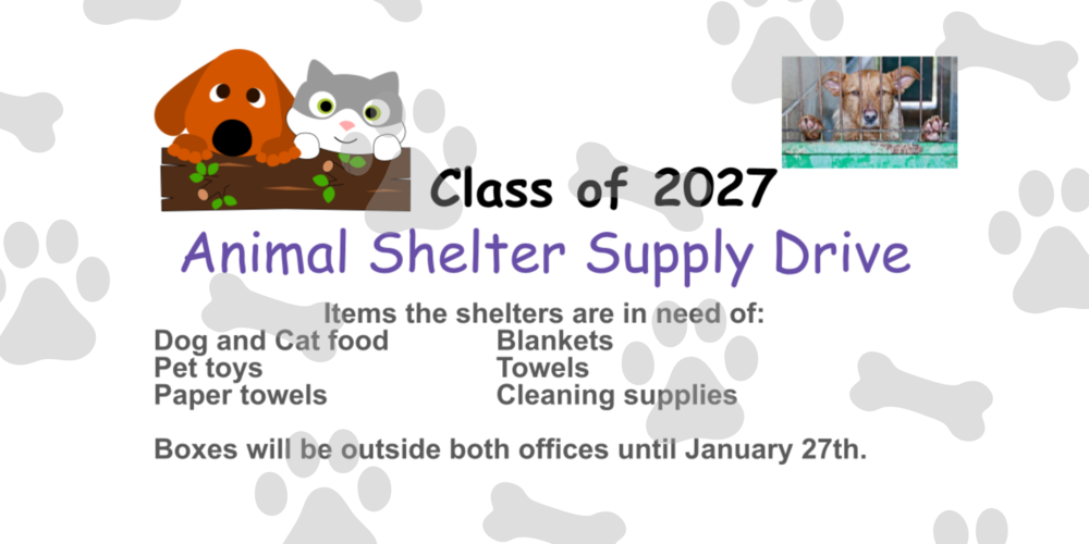 Animal Shelter Supply Drive